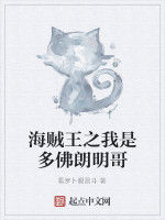 海賊王之我是多佛朗明哥 海賊王之我是多佛朗明哥