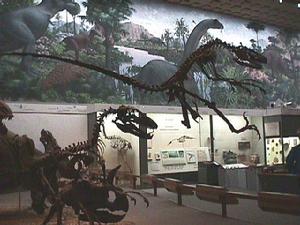 （圖）康乃狄克州