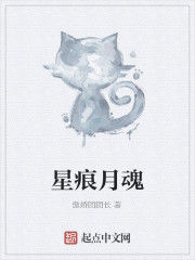 星痕月魂