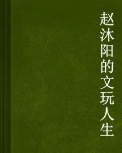 趙沐陽的文玩人生 趙沐陽的文玩人生