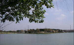 崑山市城市生態森林公園