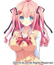 我的甜美花嫁神