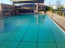 泳池[進行游泳運動的場地]