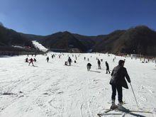 伏牛山滑雪度假樂園