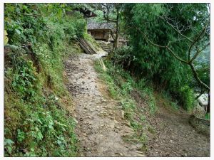 楊梅田自然村 楊梅田自然村