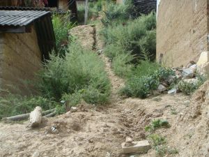 新農村村 新農村村