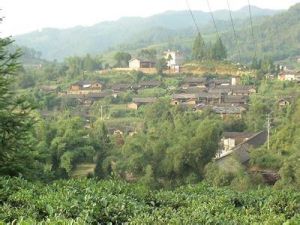 龍江鄉[龍陵縣]