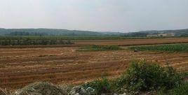 赤山村[福建莆田市南日鎮下轄村]