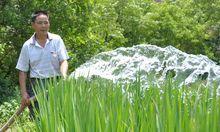 湖南辰谿縣後塘瑤族鄉村民在抽水抗旱