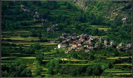 大寨村[雲南省保山隆陽區瓦窯鎮大寨村委會]