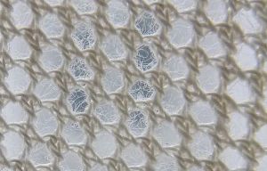 芳綸網眼布 芳綸網眼布