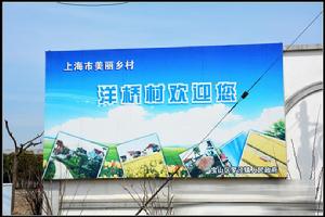 洋橋村[上海市寶山區羅涇鎮洋橋村]