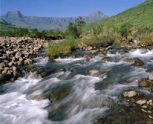 大聖露西亞沼澤公園