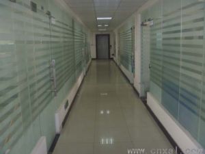 河南正大鑫安利 河南正大鑫安利