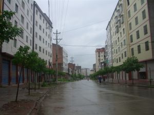 蓬安縣徐家鎮 蓬安縣徐家鎮