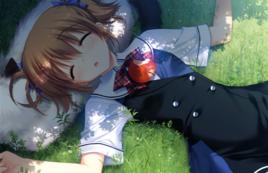 入巢蒔菜 入巢蒔菜