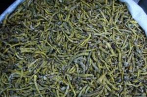 金釵石斛洋參膠囊 金釵石斛洋參膠囊