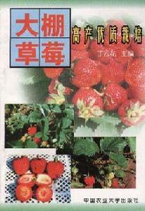 大棚草莓高產優質栽培