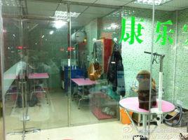 泉州康樂寵物醫院