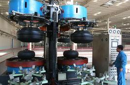 反硫化作用 反硫化作用