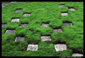 （圖）日本禪宗