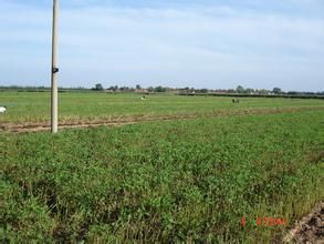 李家禮府村 李家禮府村