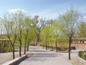 太子峪果品示範園 太子峪果品示範園