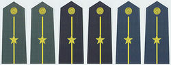 陸海空軍少尉常服肩章