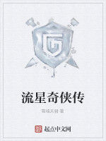 流星奇俠傳