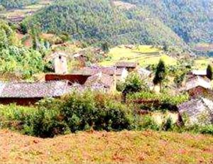 大果園村 大果園村