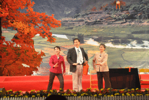 德保首屆南路壯劇匯演劇照