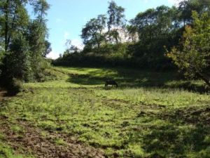 上伙房自然村 上伙房自然村