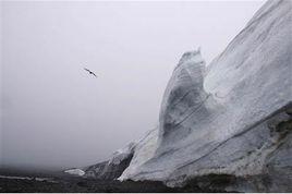 柯林斯冰帽 柯林斯冰帽