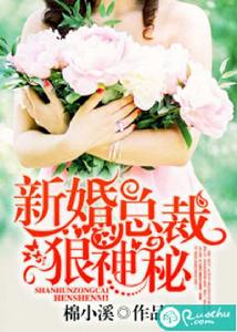 新婚總裁狠神秘 新婚總裁狠神秘