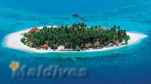 泰達芙士島 泰達芙士島