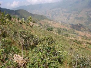 下扎表村 下扎表村