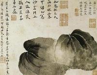 傳綮寫生冊 傳綮寫生冊