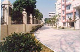 南寧十三中 南寧十三中