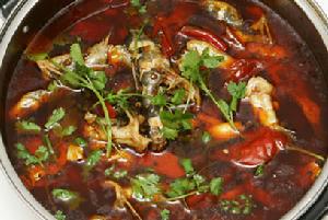 Lithobates catesbeiana(Shaw)