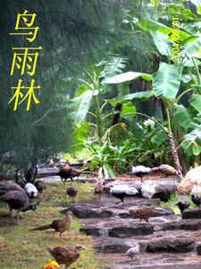 海南熱帶飛禽世界