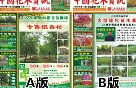 中國花木資訊網 中國花木資訊網