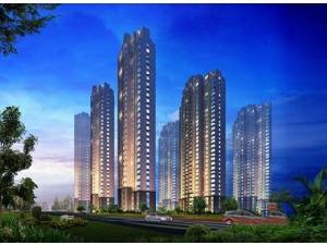 新匯華庭 新匯華庭