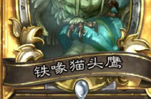 鐵喙貓頭鷹 鐵喙貓頭鷹