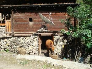 青那村人口衛生－人畜混居