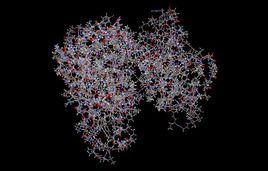 蛋白質功能特性 蛋白質功能特性