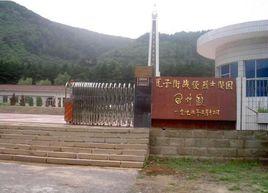 瓦子峪鎮 瓦子峪鎮