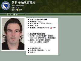 納達雷維奇 納達雷維奇