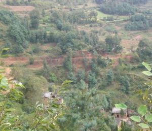 老店子自然村 老店子自然村