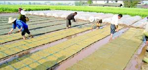 農事服務超市 農事服務超市