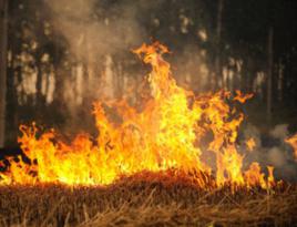 秸稈焚燒 秸稈焚燒